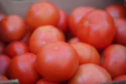 В томатах из Турции нашли вирус