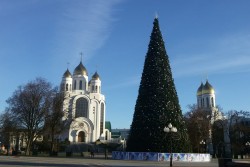 Снеговики-музыканты, «Сорока» и 100 живых елей: Калининград встречает Новый год