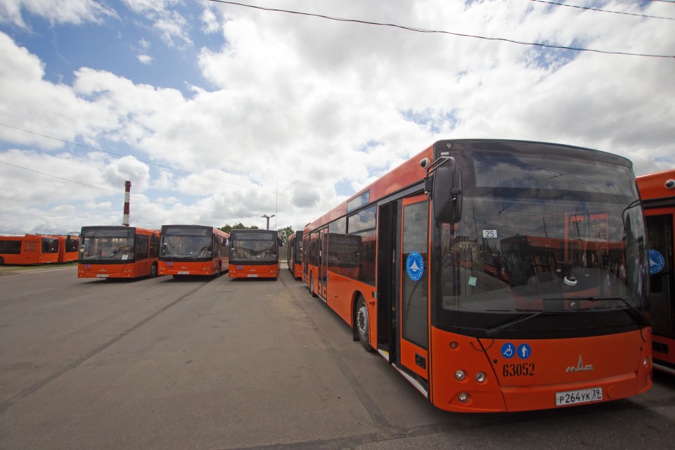 Автобусам и троллейбусам выделят полосу