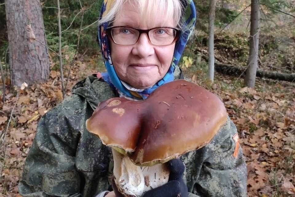 В лесах находят грибы-гиганты