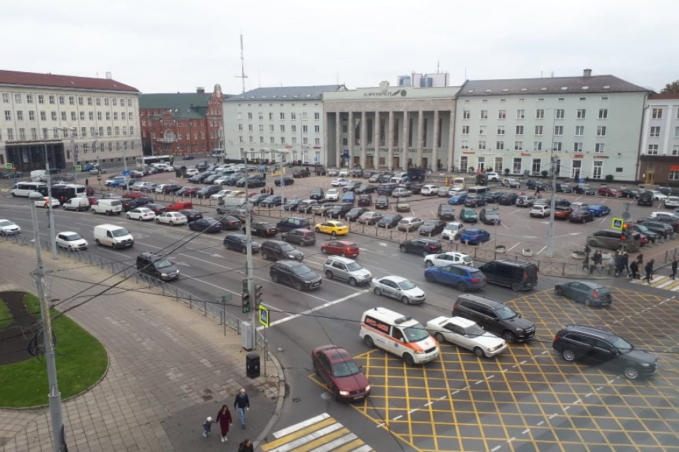 «Автостадо» в Калининграде растет: что будет с людьми?