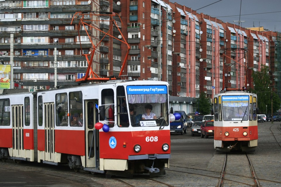 Калининградцы голосуют  за  троллейбусы и трамваи
