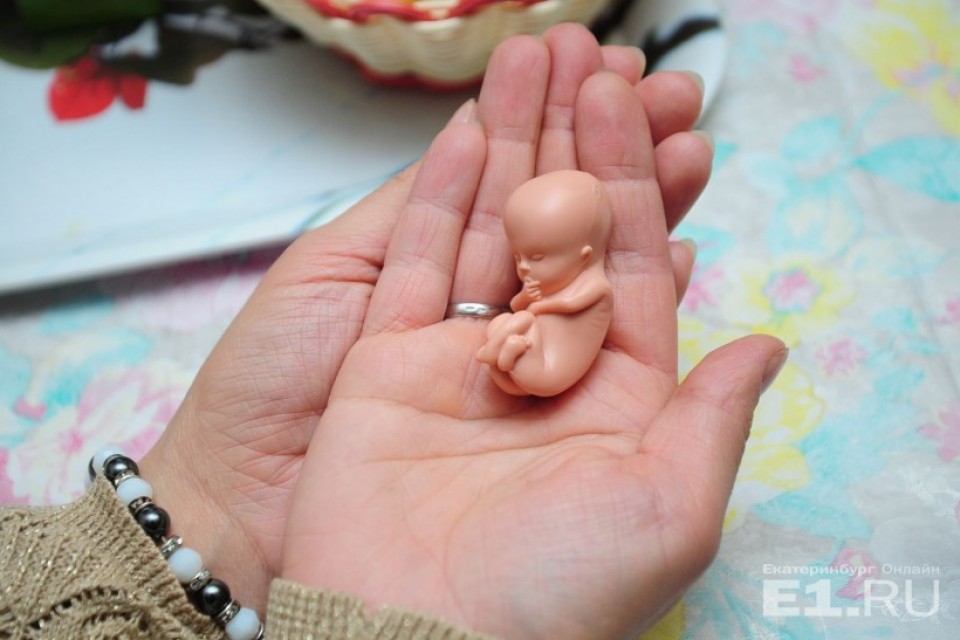 Предложения Анны Кузнецовой  по защите нерожденных детей поддержали в РПЦ