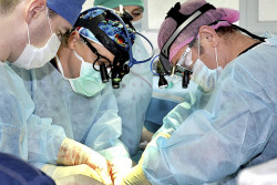 В больнице готовятся  к операциям по пересадке почек